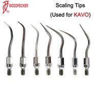 Ultrasonic Scaler Tips Scaling Tip Fit KAVO GK1 GK2 GK3 GK4 GK5 GK6 GK7