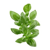 ใบโหระพา 300 ก.