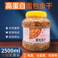 Dried Mealworm Ludin Chicken Duck Silver Arowana Map Turtle Food Parrot Starling Hamster Crab High Protein Worm Feeding Chicken Mealworm Dried Mealworm Ludin Chicken Duck Silver Arowana Map Turtle Food Parrot Starling Hamster Crab High Protein Worm Feedin