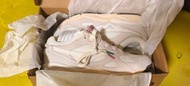 Mizuno Sky Medal 運動鞋