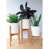 KAYU Pot Rack / Standing Flower Pot Stand Wooden Pot Diameter 20cm X 20cm