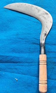 Arit rumput baja isen asli wonosobo super asahan