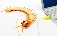 discount Electric RC Centipede Fake Insect Small Animals Remote Control Centipede Creative Animal Pr