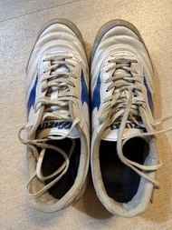 Mizuno morelia in