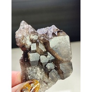 Crocodile Castle Backbone Crystal