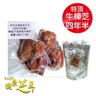 百年永續健康芝王 (四年半) 特頂大球菇牛樟芝/菇 生鮮品 37.5g/1兩 專品藥局