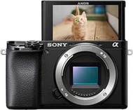幾乎全新 Sony A6100 APSC camera body 淨機, Black, no lens, shutter count less than 100