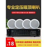Embedded Ceiling Ceiling Speaker Indoor Ceiling Audio Shop Restaurant Background Music Public Broadc