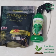 Set Milagro Baja Premium dan Spray Serangga MATADO Milagro