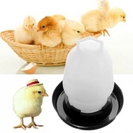 Automatic Water Feeder 0.75 Liter Bekas Minum Air Anak Ayam Bekas Air Ayam Serama Bekas Air Ayam Bek