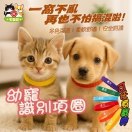 Young Pet Identification Collar [Taiwan Ready Stock] Kitten Puppy Identification Collar Pet Newborn 