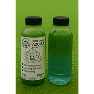 Azolla Super Seeds for Fish, Chicken, Duck, Fish, Poultry and Livestock & Superior Organic Fertilize