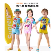 Wang Team (A) Children's Swimwear Split SWIMSUIT Short-Sleeved Shorts PAW PATROL swimsuit for kid