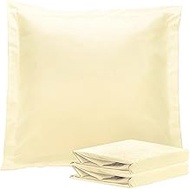 NTBAY 26x26 Euro Sham Covers - 2 Pack Brushed Microfiber 26x26 Pillow Covers - Soft, Wrinkle-Free, F