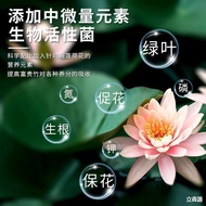 Tool Water Lily Universal Water-Soluble Fertilizer Hydroponic Promote Flowering Anti-Yellow Leaf Lot
