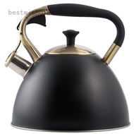 BWH Stainless Steel Tea Kettle for Tea Coffee Milk etc All Kitchen Stove Top/Induction Gas Electric Applicable 3L