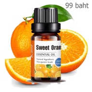 Aliztar 100% Pure Sweet Orange Essential Oil 10 ml น้ำมันหอมระเหยส้มแท้ สำหรับอโรมาเทอราพี เตาอโรมา เครื่องพ่นไอน้ำ ผสมน้ำมันนวดผิว ทำเทียนหอม