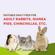 PREMIUM SOFT TIMOTHY HAY Imported Timothy Alfalfa Orchard Lucerne Hay Rabbit Guinea Pig Chinchilla 兔