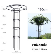 ซุ้มกุหลาบเลื้อย ซุ้มกุหลาบ ซุ้มไม้เลื้อย เหล็กแข็งแรง โครงกุหลาบเลื้อย ท่อเหล็กเคลือบ PE กันสนิม โครงเหล็กดัด