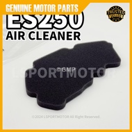 WMOTO ES250 AIR CLEANER AIR FILTER (STANDARD) W MOTO ES 250 ES250