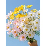 Chamomile Artificial Flower 5-Prong 5-Head Small Wrinkle Chrysanthemum Fake Flower Dried Flower Wild