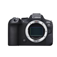 收 Canon EOS R6 Mark II (Body)
