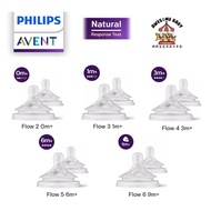 Philips Avent Natural Response Nipple Baby Teat (2pcs/Box) Avent Putting