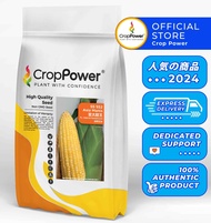 Biji Benih Jagung Manis /Sweetcorn seeds / 甜玉米种子 – CROP POWER (F1 HYBRID SS932) 500gm