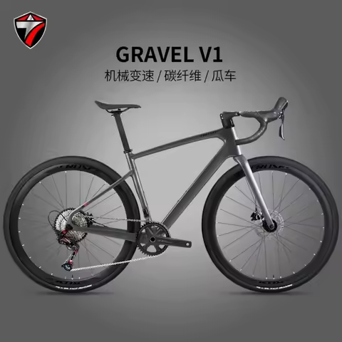 TWITTER GRAVEL V1 Road Bike RS(SENSAH HRD-G100) Flat-Body Full Oil Disc Brake 700*38C Carbon Fiber в