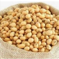 Kacang soya  500gm/pack
