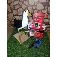 Burung Wak Wak, Aringg Siap Radio Dan Suara Burung