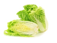 2000 เมล็ด ผักกาดขาวจีน หัวใหญ่ ผักกาดขาว Chinese cabbage Seeds