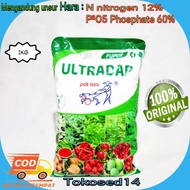 Promo Ultradap Pupuk Pak Tani 1 Kg Pupuk Padi Obat Padi Pupuk Ultradap Pupuk Awal Tanaman Utradap Pu