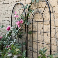 H-Y/ Climbing Vine Flower Stand Screen Grid Lattice Chinese Rose Courtyard Morning Glory Shelf Gardening Combined Scente