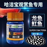 Hajiebao Arowana Stingray Ornamental Fish Aquarium Protection Suppression Powder Tablets Non-Veterin