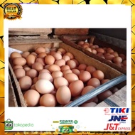 Promo TELUR AYAM 1 PETI ISI 10 KG KHUSUS GOJEK Diskon