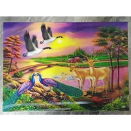 NATURAL 3D PICTURES FRAMES