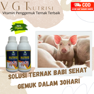 VGT Nutrisi Ternak Babi.