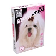 แถม-กระดาษถ่ายเอกสาร 70gsm A4 450 แผ่น/รีม