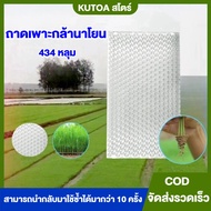 ถาดเพาะกล้านาโยน (Seedling tray) แพ็ค 100-500 ชิ้น 434/561 หลุม เกรดA ถาดนาโยน ถาดเพาะกล้า ถาดเพาะต้