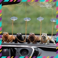 Combo 4 BULLS super cool sagging dogs with real decorative photos