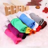Nylon Men's Underwear Men Breathable Trunks Comfort Mid Waist Briefs Boxers Spender Innerwear 男性内裤 四