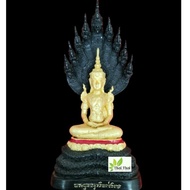 Thai Amulet Phra Puttha Mucharin