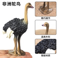 Children's Cognitive Animal Model Simulation of Bird Toys - African Ostrich, Woodpecker, Eagle, Owl,