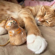 Cat Hair Storage Hanger Cat Fur Keepsake Keychain For The Pet Owners Kucing fur Storage Transparent 