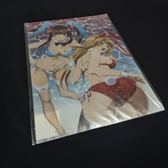 Licensed Collectibles Shin Ikki Tousen Roll Poster