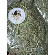 Coconut's Hut American Timothy 2nd Cut