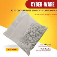 Electric Fan Fuse 250 Volts 2Amp 10pcs