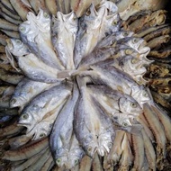 GELAMA MASIN/IKAN MASIN GELAMA KELEPEK 1KG