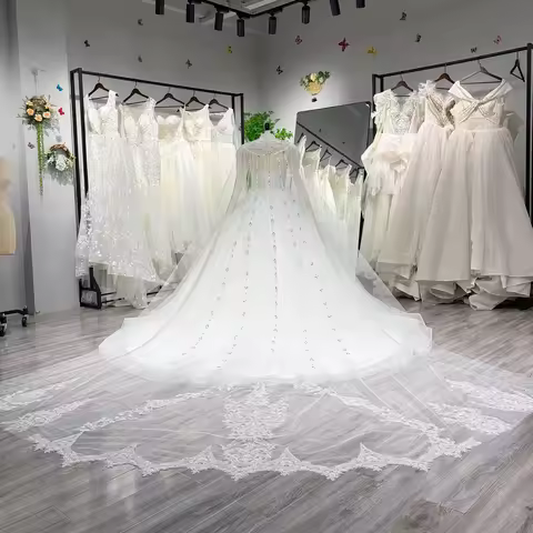 Hire Lnyer Sparkly Beads Pearls Stones Shiny Long Sleeve 2 Pieces Ball Gown Wedding Dresses With Big